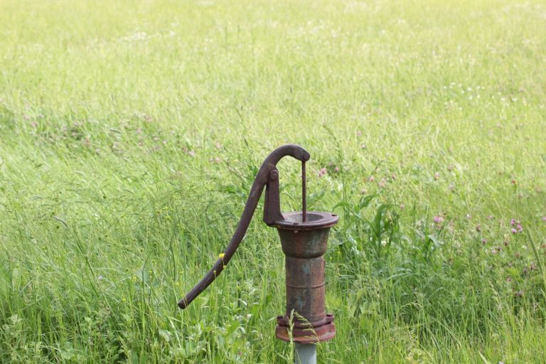 Read more about the article Protecting Well Pumps: Keeping Ants Out of Well Pump Contacts.